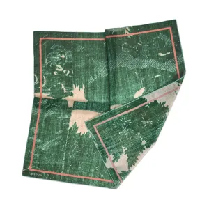 Tapis Noir Light Green Toile Scarf